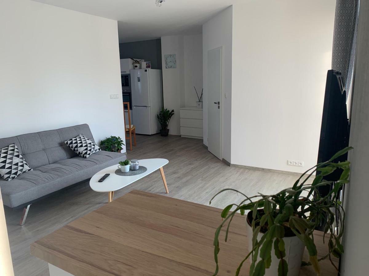 Tolarova Apartmán Pardubice Esterno foto